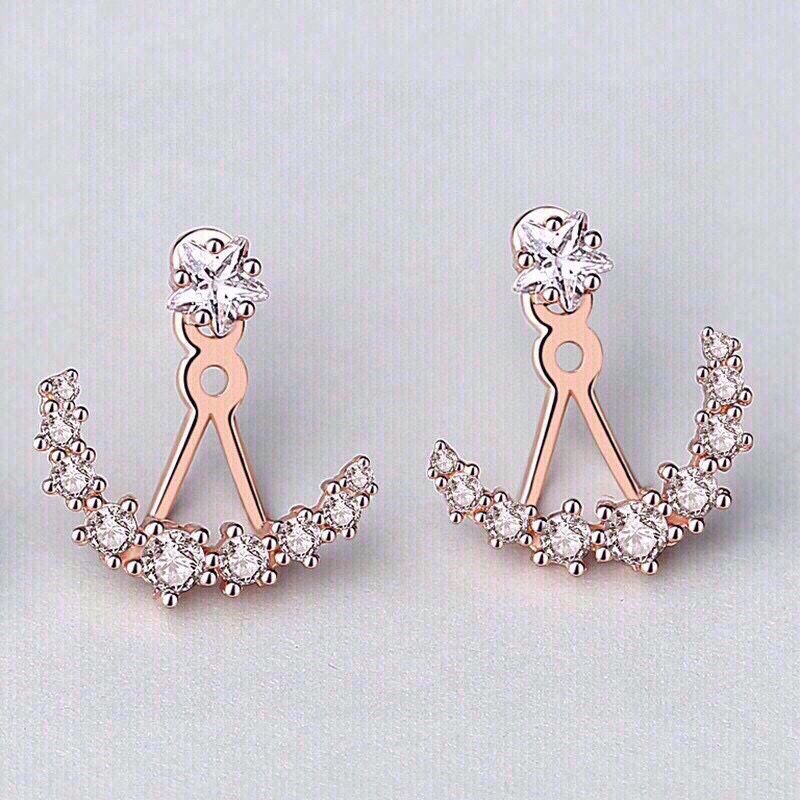 SW-E003 EARRING