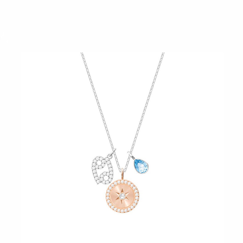 SW-E008 EARRING