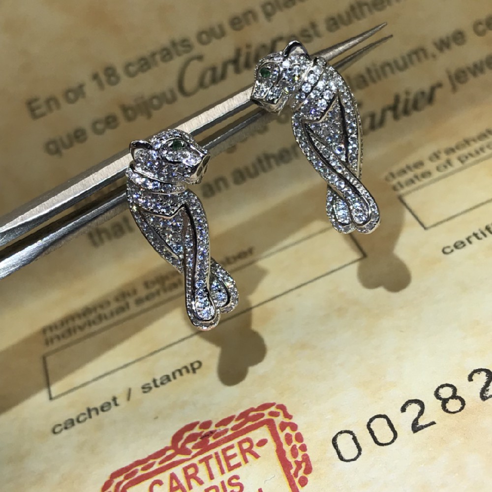 CA-E002 Earring