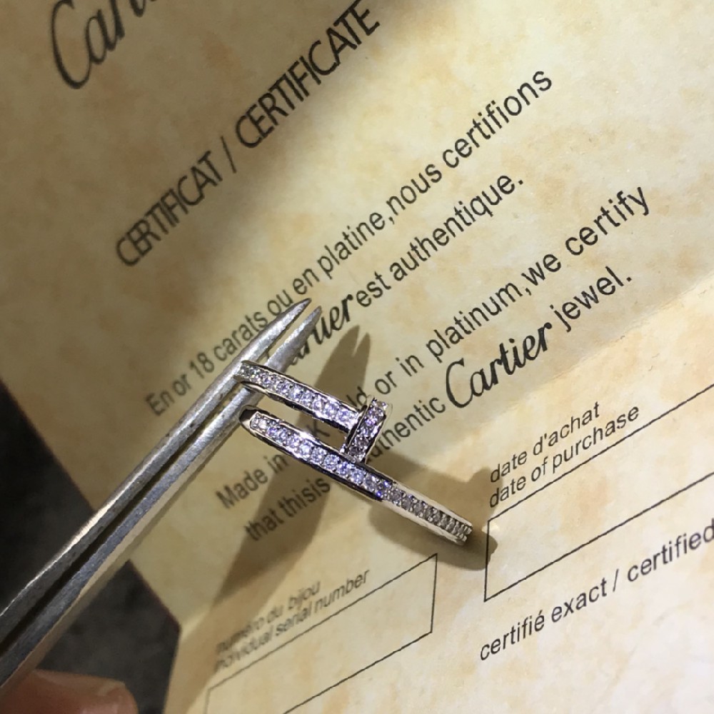 CA-E004 Earring