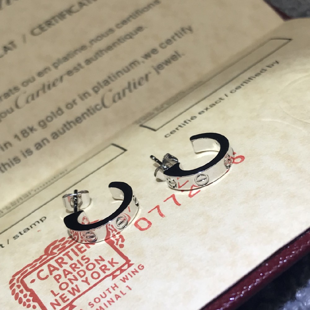CA-E005 Earring