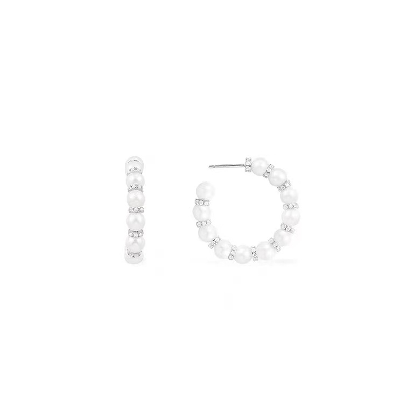 AP-E002 EARRING