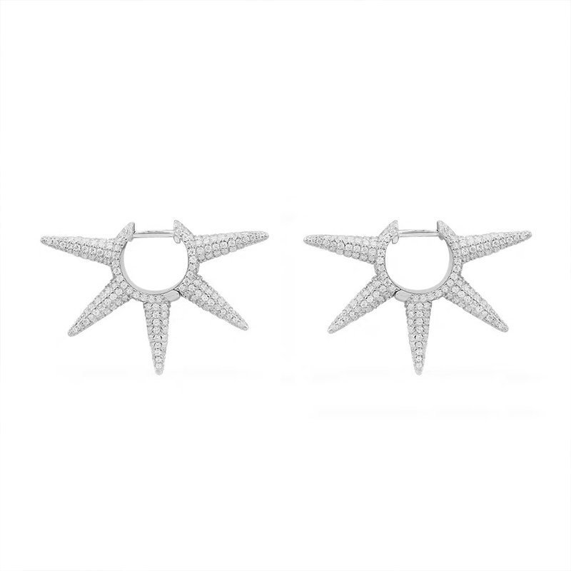 AP-E009 EARRING
