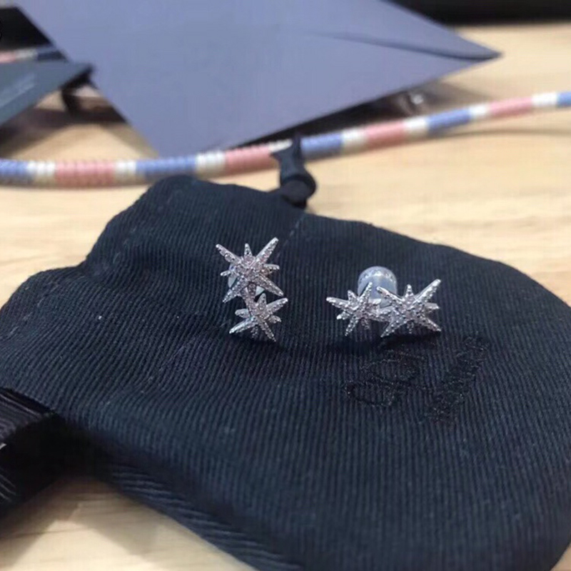 AP-E013 EARRING