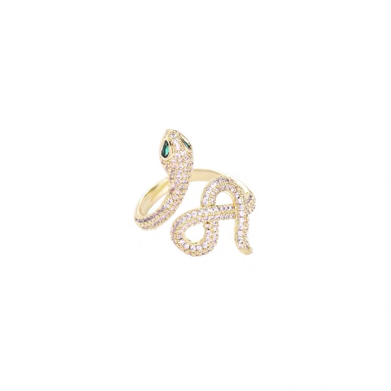 AP-R005 RINGS